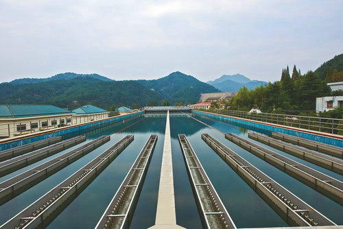 카지노 검증 사이트 Pujiang Ganquan Water Plant (Xianhua Cup) _1.jpg